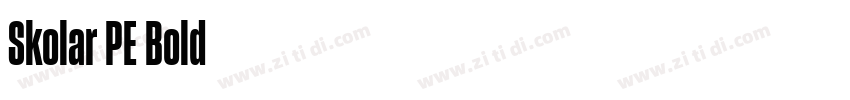 Skolar PE Bold字体转换